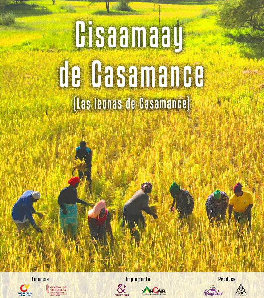 Las Leonas de Casamance