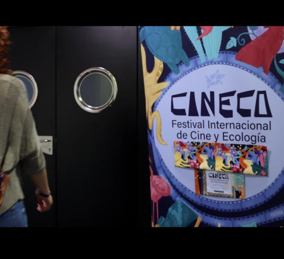 Festival CINECO