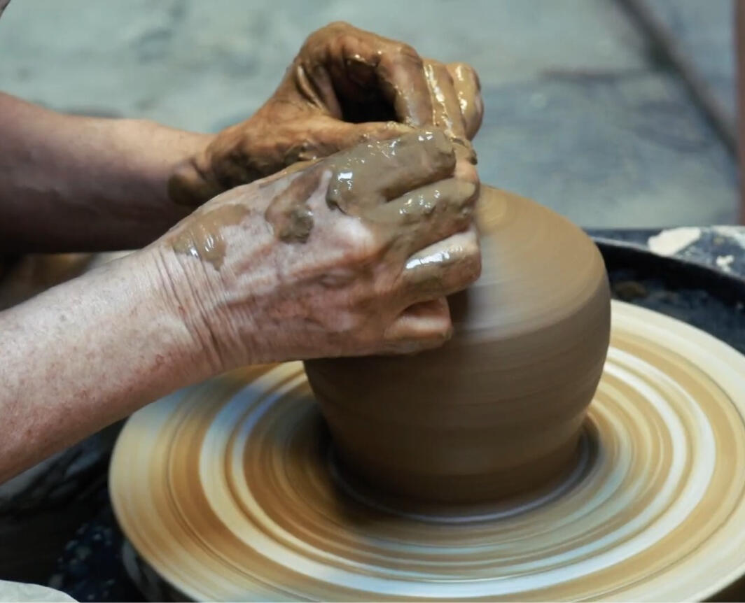 Innovando desde las raíces
